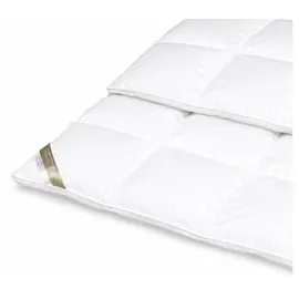 Betten Hofmann Hofmann Franken Daunenbett Daunendecke 6x6, 200x200 5 cm Außensteg 100% Daunen - Schwarz