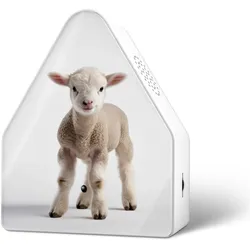 RELAXOUND Alpensound HEIDIBOX Alpen-Atmosphäre stereo LIMITED EDITION UV-Druck L...