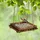 Relaxdays Vogelfutterstation Holz, Futtertisch für Wildvögel, Stellen & Hängen, Vogelfutterhaus, HBT 6,5x25x25 cm, braun