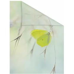 Fensterfolie LICHTBLICK ORIGINAL "Schmetterling Grün" Gr. 5, grün, B:100cm L:180cm, PVC, Fensterfolien, selbstklebend, Sichtschutz