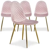 Menzzo Norway Set mit 4 Polsterstühlen, Samtbezug Rosa