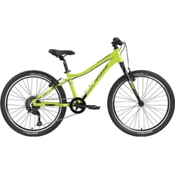 GENESIS Kinder Mountainbike Genesis Evolution JR24, HELLGRÜN, ONE SIZE