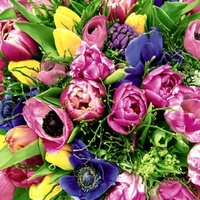 HOME FASHION Magni, Servietten, Servietten 33x33cm Spring Florals FSC-Mix (33 x 33 cm)