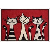Wash+Dry Fußmatte THREE Cats (LBH 60x40x,70 cm