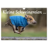 Calvendo Kleine Schweinereien (Wandkalender 2026 DIN A4 quer), CALVENDO