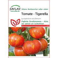 SAFLAX - Tomate - Tigerella - 10 Samen - Lycopersicon esculentum