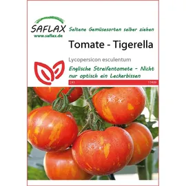 SAFLAX - Tomate - Tigerella - 10 Samen - Lycopersicon esculentum