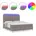 Boxspringbett x 200