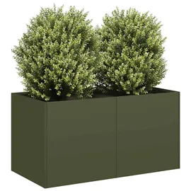 vidaXL Pflanzgefäß 120 x 80 x 80 cm Olivgrün