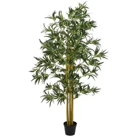Europalms Bambus Multistamm, 180cm