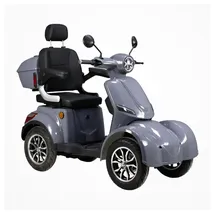 Volta VM6 1,0 kW 25 km/h Grau
