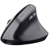 Trust TM-270 Ergonomic Wireless Mouse Schwarz USB (25371)