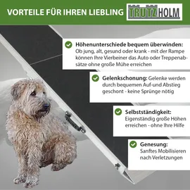 Baumarktplus TRUTZHOLM Hunderampe klappbar 215 cm Traglast 180 kg Alu grau schwarz