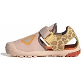 adidas Terrex Captain Toey 2.0 Sandals Sandal, blush pink/pure Tangerine/Ice Tangerine, 29 EU