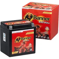 Banner Bike Bull GEL 53001, 30Ah GT30-3