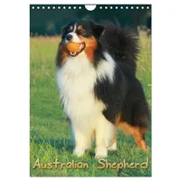 Calvendo Australian Shepherd (Wandkalender 2026 DIN A4 hoch), CALVENDO