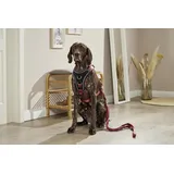Wolters Professional Comfort Hundegeschirr rost rot 50-60 cm