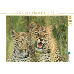 CALVENDO Puzzle CALVENDO Puzzle Leoparden – Vorsicht! 1000 Teile Lege-Größe 64 x 48 cm Foto-Puzzle Bild von Michael Herzog, 1000 Puzzleteile