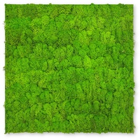 Wandpaneel Jangal Modular Wall 11102 Bright Green Moos 52 x 52 cm