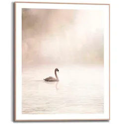 Reinders! Poster »Schwan im Nebel« Reinders! Farbe Bild(er): beige