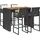 vidaXL Gartenbar Set 5-tlg. Schwarz
