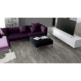 Classen Laminat 7 mm 4V 128,6 x 19,4 cm 7 mm Kiefer grau