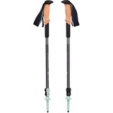 Black Diamond Pursuit Shock Trekkingstöcke (Größe 100-125cm, grau)