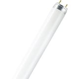 Osram LUMILUX INTERNA 36W G13 (325699)