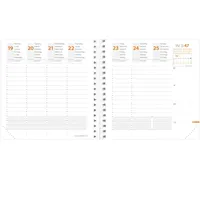 Quo Vadis Time & Life ML Einlage Medium 2026