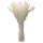 Intirilife Pampasgras 30 Stück in Weiß - 45 cm - Natürliche Trockenblume weiches nachhaltiges Schilfgras