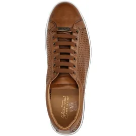 Galizio Torresi 417530A Herren Braun 43,5