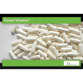 Forest Vitamin NADH 10mg Kapseln 100 St.