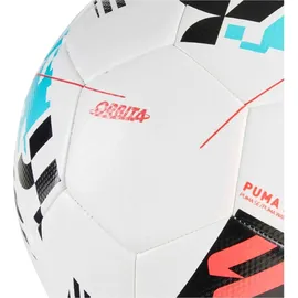 Puma Fussbälle, 5