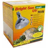 Lucky Reptile Bright Sun UV Jungle