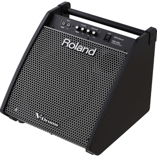 Roland PM-200 Monitor System