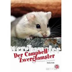 Der Campbell-Zwerghamster