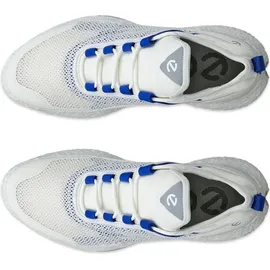 ECCO Biom Hybrid 5 Herrengolfschuhe - 41