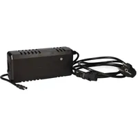 Trio Antriebssystem E-Bike Ladegerät 36V 3A Li-Ion 10S