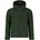 Superior Kale Green S
