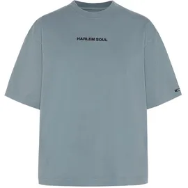 Harlem Soul HARLEM SOUL, Damen, Gr. XL, blau (fog blau), Single Jersey, Material: 100% Baumwolle, bedruckt, regular fit normal, Rundhals, eingesetzt gerader Abschluss, Shirts Rundhalsshirt, aus Baumwolle