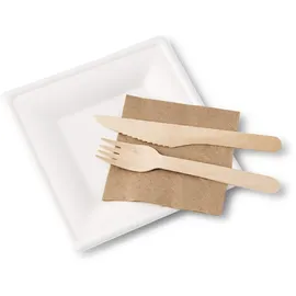 Greenbox Teller Zuckerrohr 16 x 16 cm quadratisch, 500 St.