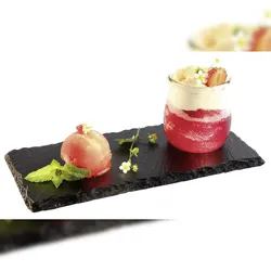 APS Naturschieferplatte mit Absatz