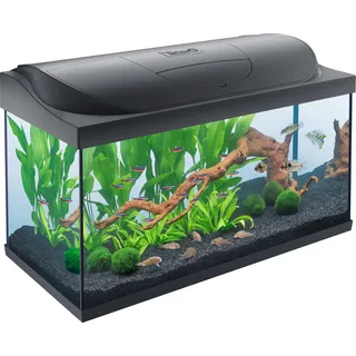 Tetra Starter Line LED, Aquarium 105L