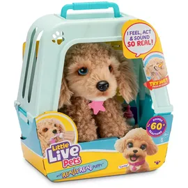 Little Live Pets My Really Real Puppy