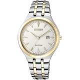 Citizen EW2494-89B