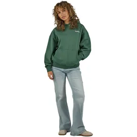 Pegador Hoodie grün S