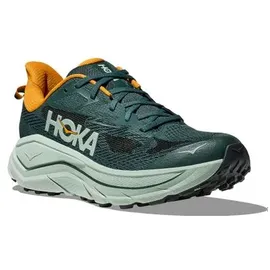 HOKA Challenger 8 Herren Bay Leaf/Sage 46 2/3