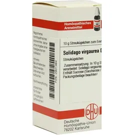 DHU-Arzneimittel SOLIDAGO Virgaurea D 3