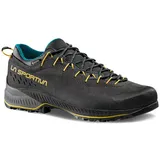 La Sportiva Tx4 Evo Goretex Approach Shoes Grau EU 40 1/2 Mann