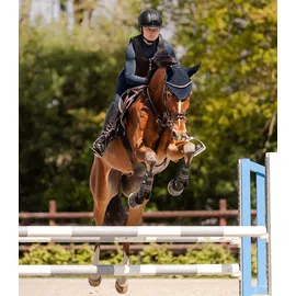 Swing Reithelm H24 Shine schwarz matt, - 57-59cm